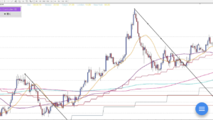 FXにおける等倍理論