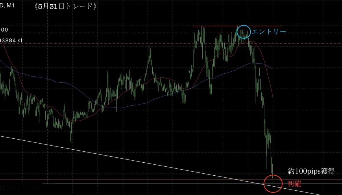 IMG 720831日⑤ - N式FX今週の振り返り！損切り込みで900pips獲得の解説