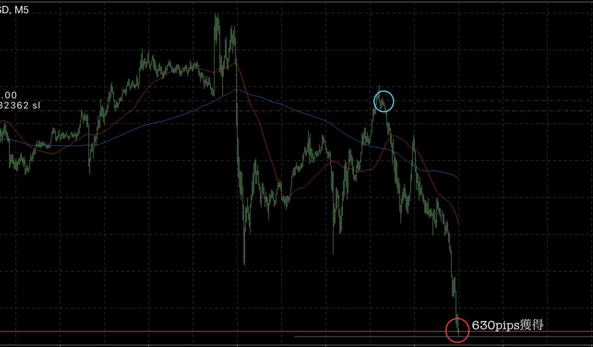 ② 1 - N式波動を極めるとは？今週のトレード履歴も紹介