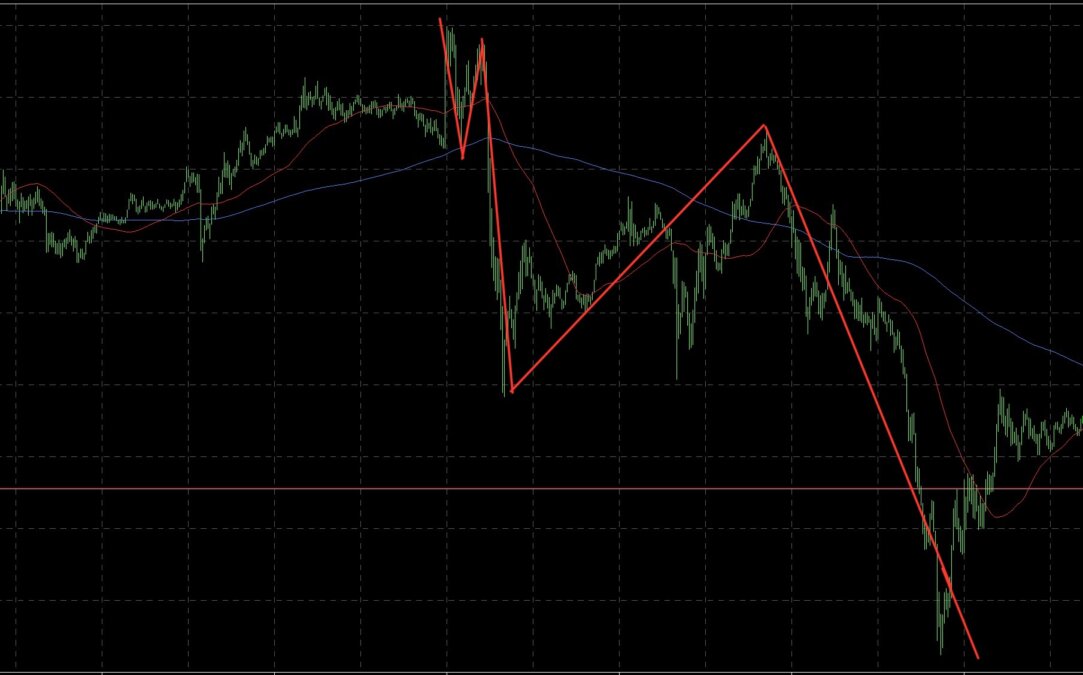 ④ - N式波動を極めるとは？今週のトレード履歴も紹介
