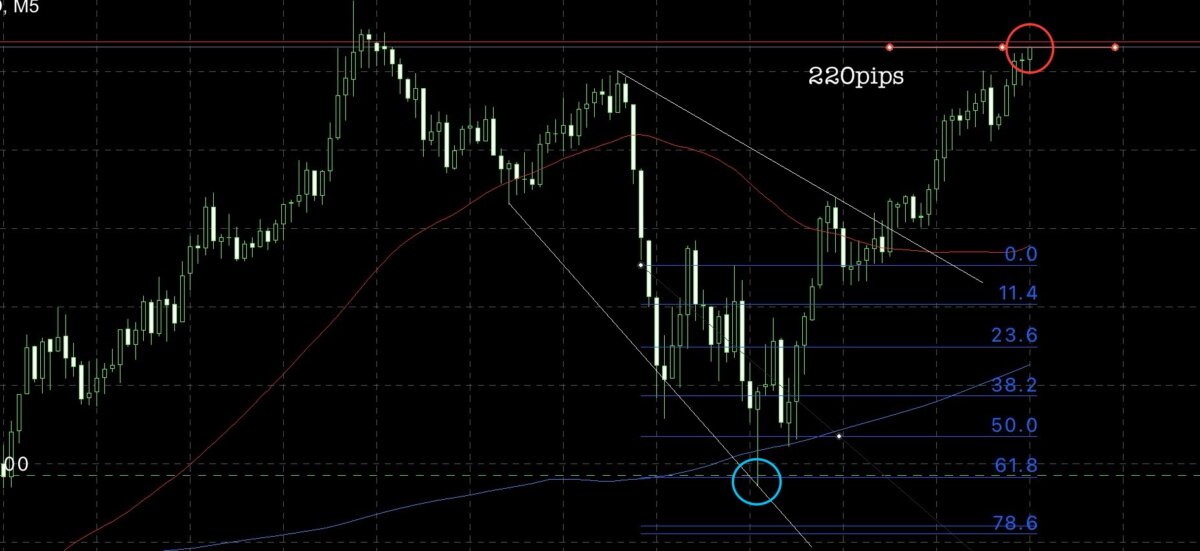 ② 1 - N式FX今週の振り返り！今回は濃密な振り返りをご用意してます