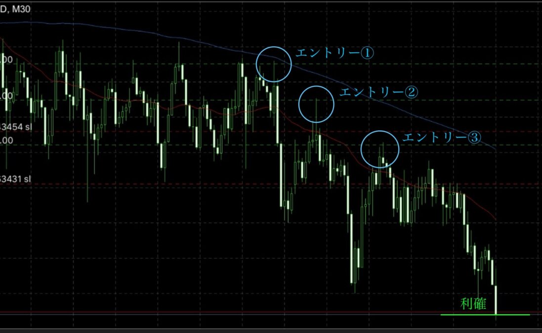ブログ 8 - 「木を見て森を見て、また木を見る」環境認識がトレード成績を左右する理由