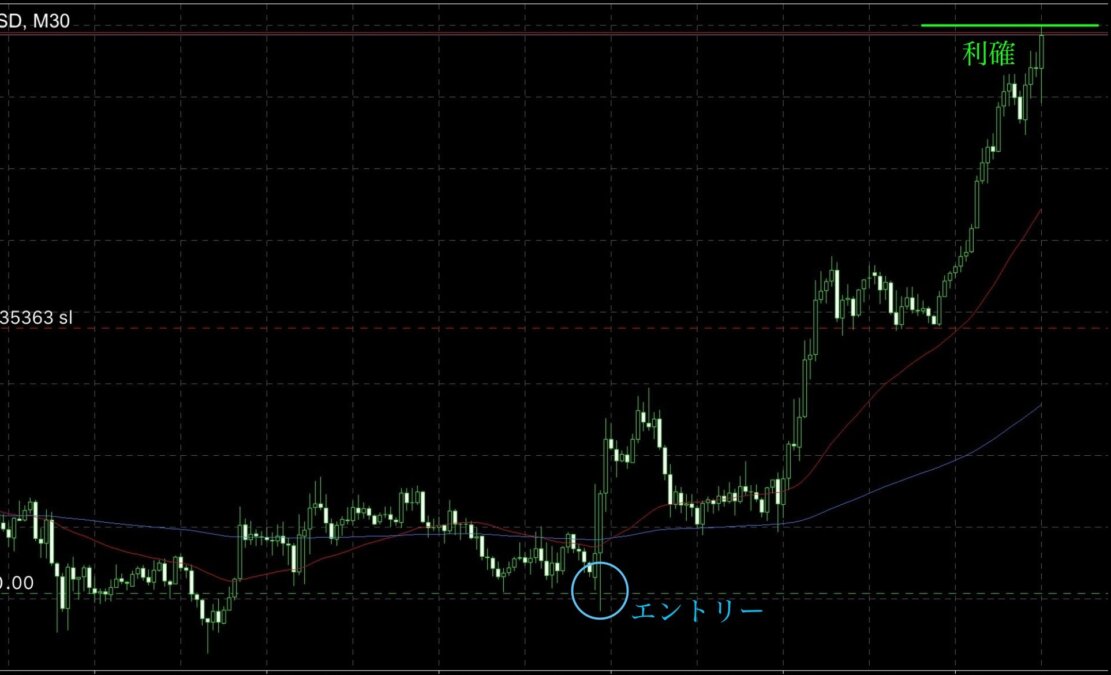 修正の下の壁から伸ばす。N式・小リスクロングの1週間 ブログ 2 - 修正の下の壁から伸ばす。N式・小リスクロングの1週間