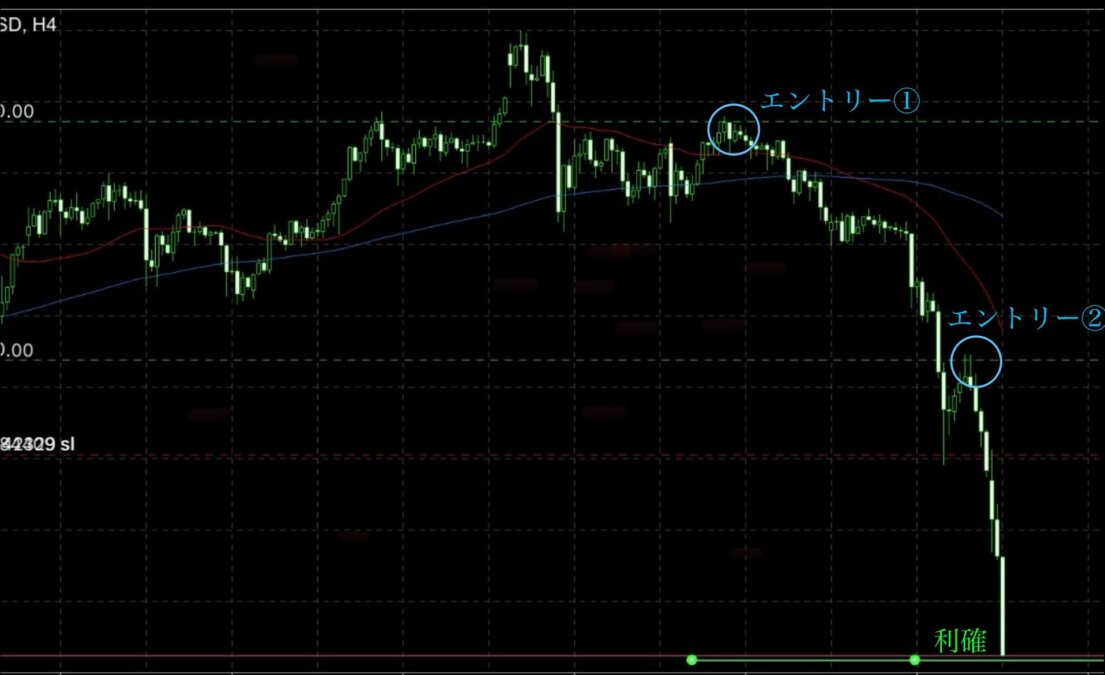ブログ 4 - 17,000pipsの裏側｜数値で導くN式トレードの本質とは？